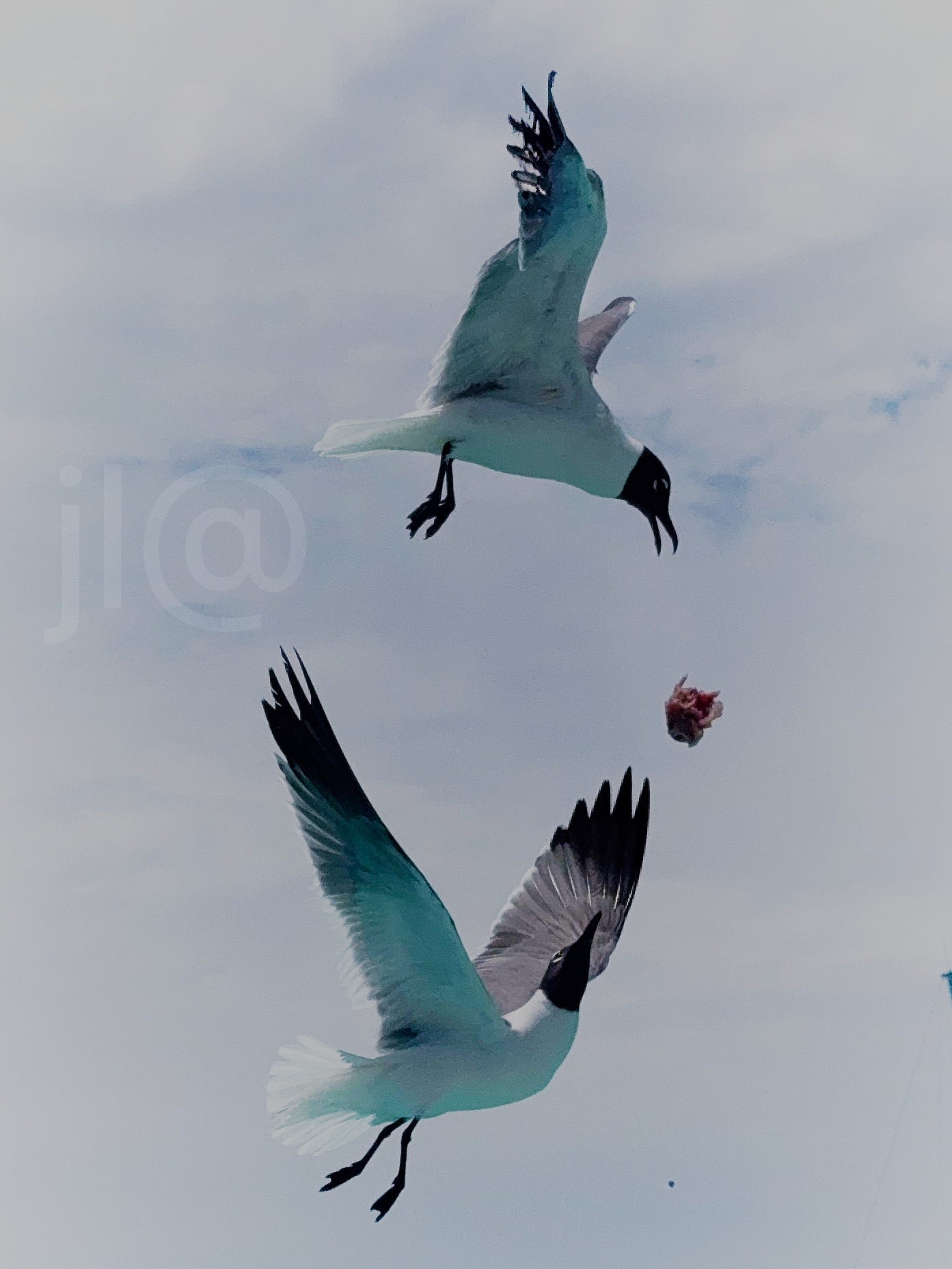 Sublimez votre image avec des photos d’exception